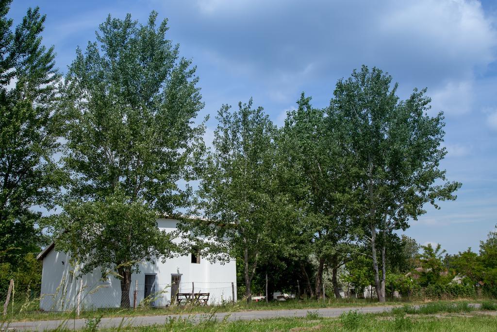 Hotel Casa Bella&Nova Palić Esterno foto
